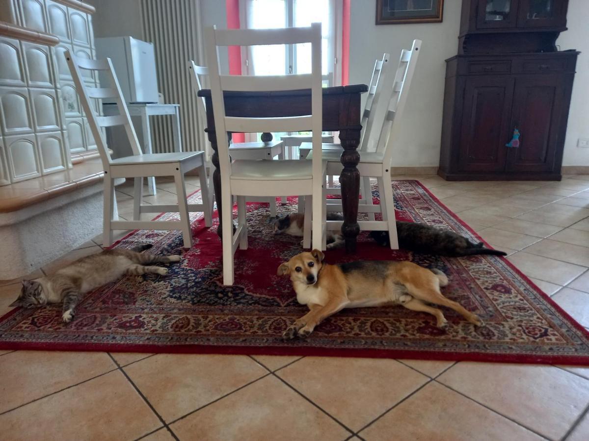 B&B Isoladelsole Perledo Dış mekan fotoğraf