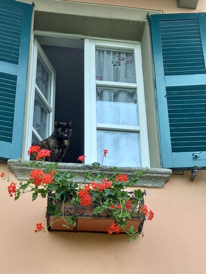 B&B Isoladelsole Perledo Dış mekan fotoğraf